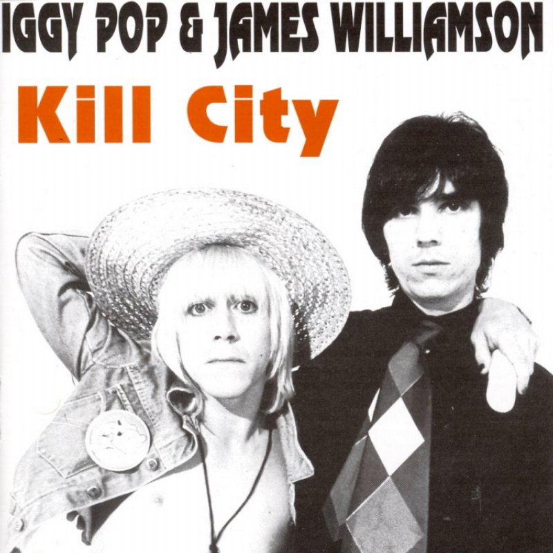 Stooges Kill City Album